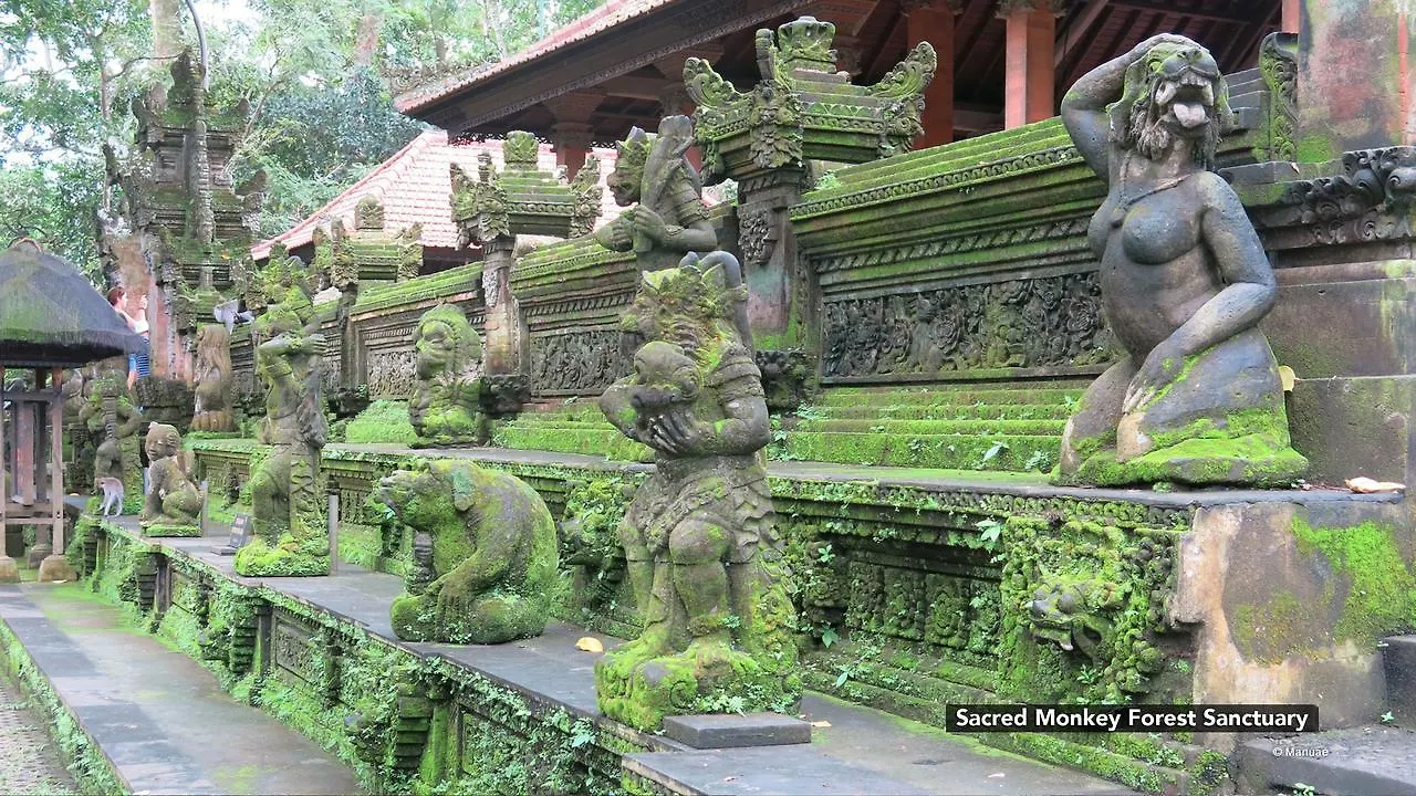 Zen Rooms Sriwedari Ubud 1 3*, Ubud (Bali) Indonesia